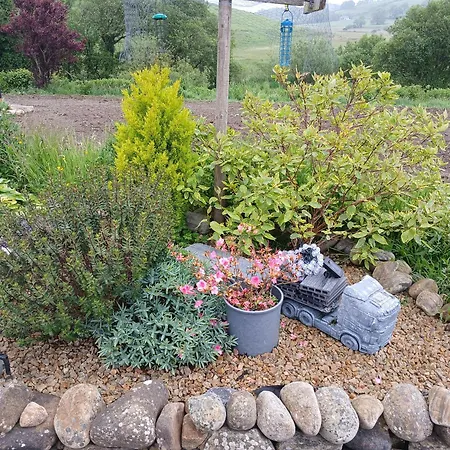 Ella Rose Mobile * Durnesh