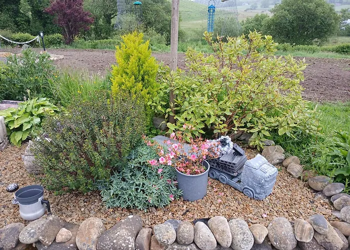 Ella Rose Mobile * Durnesh